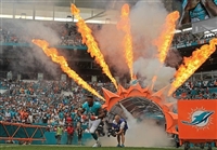 Cameron Wake t-shirt #3478196
