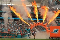 Cameron Wake hoodie #3478234