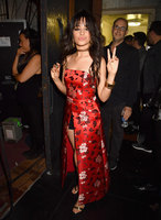 Camila Cabello longsleeve t-shirt #2731822