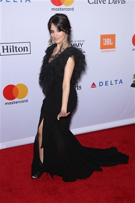 Camila Cabello posters