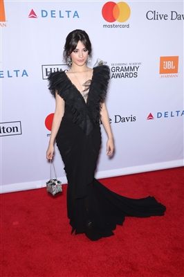 Camila Cabello posters