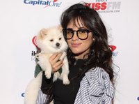 Camila Cabello longsleeve t-shirt #3923058