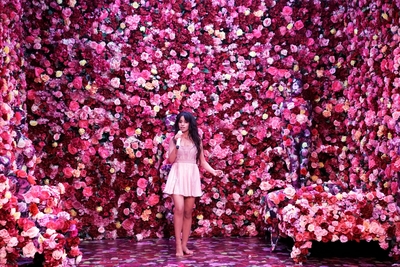 Camila Cabello posters