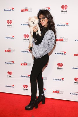 Camila Cabello posters