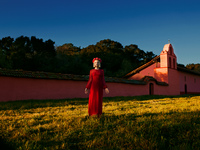 Carey Mulligan longsleeve t-shirt #2317318