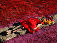 Carey Mulligan longsleeve t-shirt #2317338