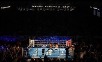 Carl Frampton t-shirt #3585691