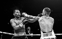 Carl Frampton Sweatshirt #3585931