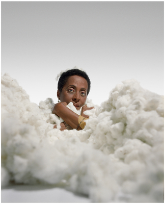 Celebrity Dumping posters