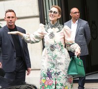 Celine Dion Sweatshirt #2707418