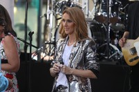 Celine Dion t-shirt #2733039
