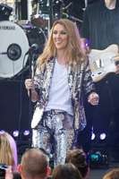Celine Dion t-shirt #2733056