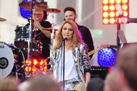 Celine Dion hoodie #2733100