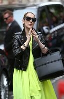 Celine Dion hoodie #2733108