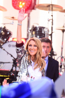 Celine Dion Sweatshirt #2733217