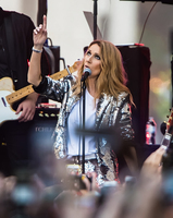 Celine Dion hoodie #2733298