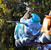 Celine Dion longsleeve t-shirt #2733322