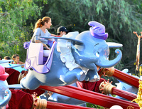 Celine Dion tote bag #G975705