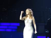 Celine Dion tote bag #G975708