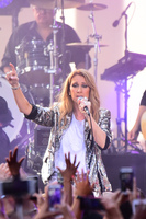 Celine Dion hoodie #2733664