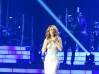 Celine Dion hoodie #2734543