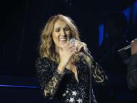 Celine Dion hoodie #2734551