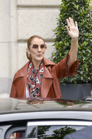 Celine Dion hoodie #2734556