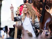 Celine Dion hoodie #2734647