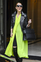 Celine Dion Sweatshirt #2734885