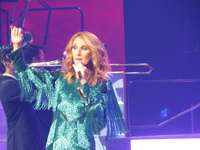 Celine Dion Sweatshirt #2735165