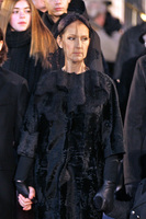 Celine Dion longsleeve t-shirt #2735435