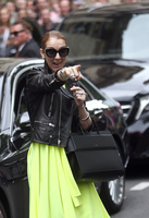 Celine Dion Sweatshirt #2735972