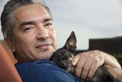 Cesar Millan posters