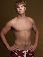 Chace Crawford hoodie #2210759