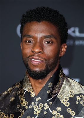 Chadwick Boseman puzzle 3022582