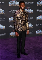 Chadwick Boseman Longsleeve T-shirt #3022629