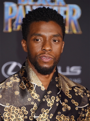 Chadwick Boseman puzzle 3022658