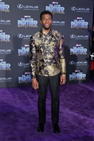 Chadwick Boseman Longsleeve T-shirt #3022726