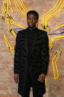 Chadwick Boseman Longsleeve T-shirt #3076318