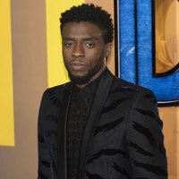 Chadwick Boseman Longsleeve T-shirt #3076356
