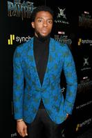 Chadwick Boseman Longsleeve T-shirt #3127401