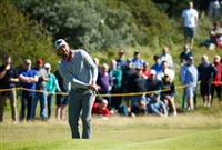 Charl Schwartzel Sweatshirt #3497599