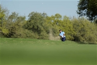 Charl Schwartzel Tank Top #3497744