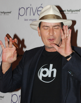 Charlie Sheen posters