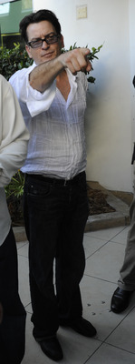 Charlie Sheen posters