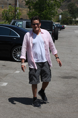 Charlie Sheen posters