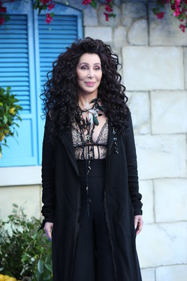 Cher Poster 3716133