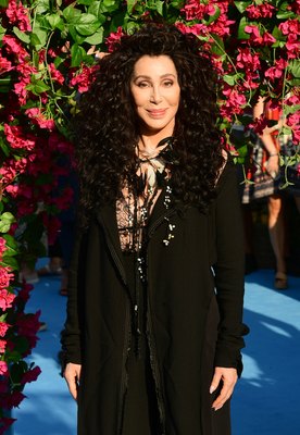 Cher Poster 3716136