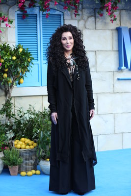 Cher Poster 3716139