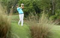 Chesson Hadley mug #G1744789